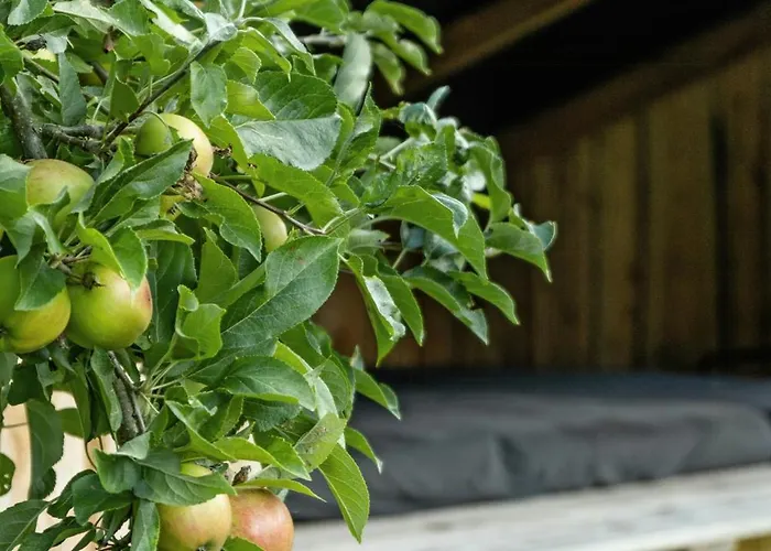 Open Spaces And Cozy Corners In Ristinge * Nordenbro Vesteregn